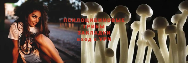 СК Алзамай