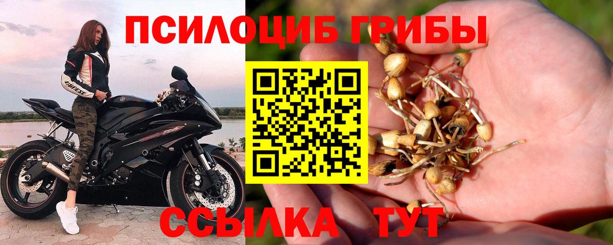 Галлюциногенные грибы мицелий Балабаново