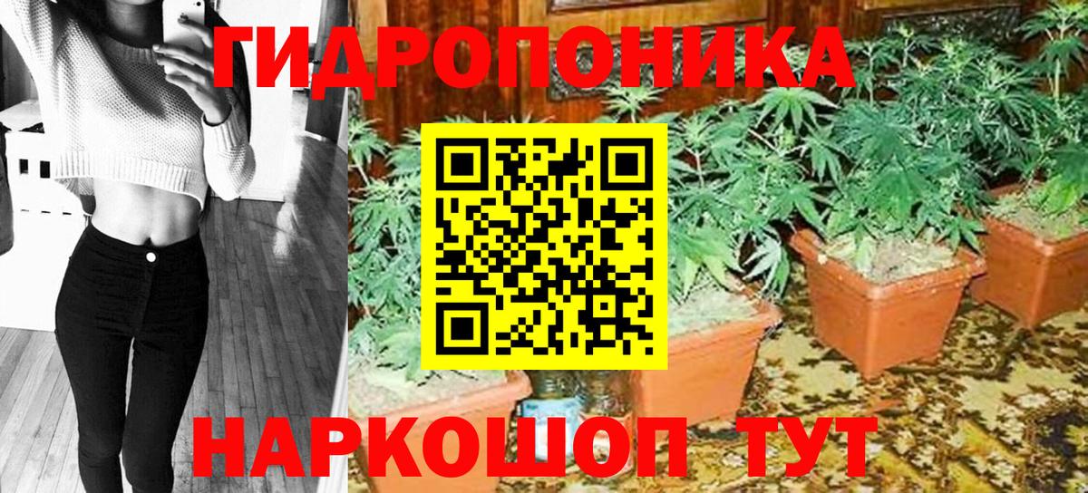 Каннабис индика  Вход с VPN  Каннабис тримм  Марихуана планчик  Балабаново 